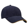 4289_colour_image_file(Navy,Gold)